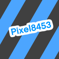 Pixel8453